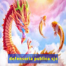 defensoria publica sjc